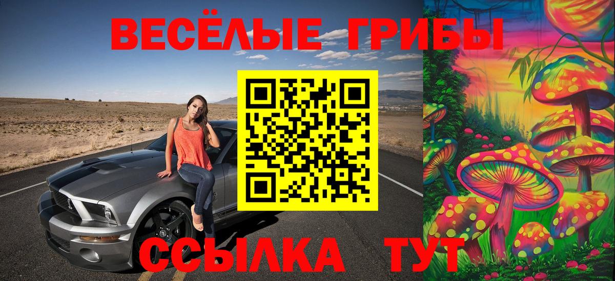 Псилоцибиновые грибы Cubensis Мытищи